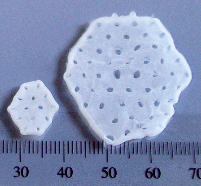 Various sizes of EHMs for clinical and experimental applications. Source: Tiburcy et al, 2017.