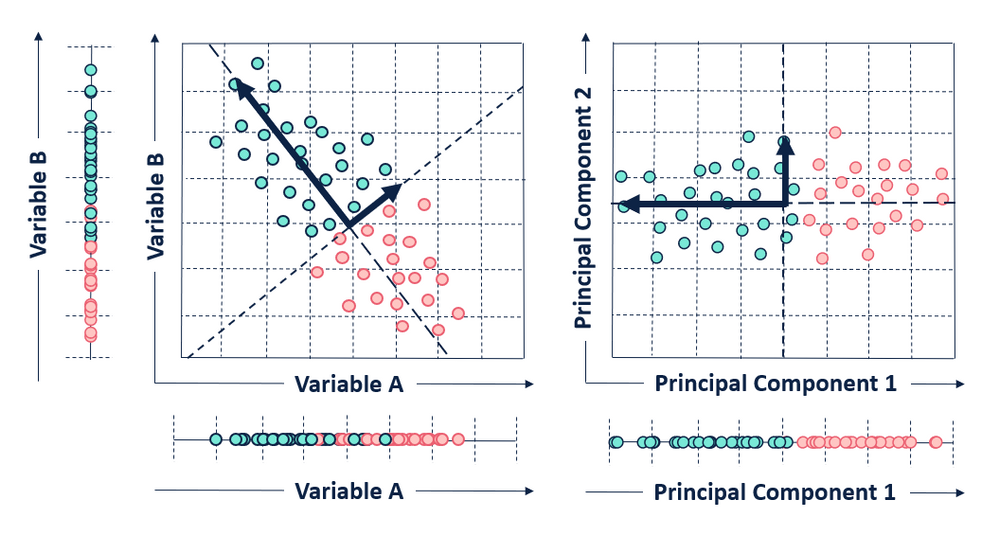 Illustration of PCA. Given two variables A and B, the plot on the left shows a scatter plot in its original place while the one on the right shows a PCA bi-plot of the variables. In this simplistic example, a 2D object (with 2 variables) which was not efficiently separated in 1D representation its original space is separated clearly in 1D across it's first PC. Here, 2D is efficiently reduced to 1D with minimal loss of information, this same technique can be applied to several dimensions to efficiently reduce it to smaller dimensions and be easily visualized.