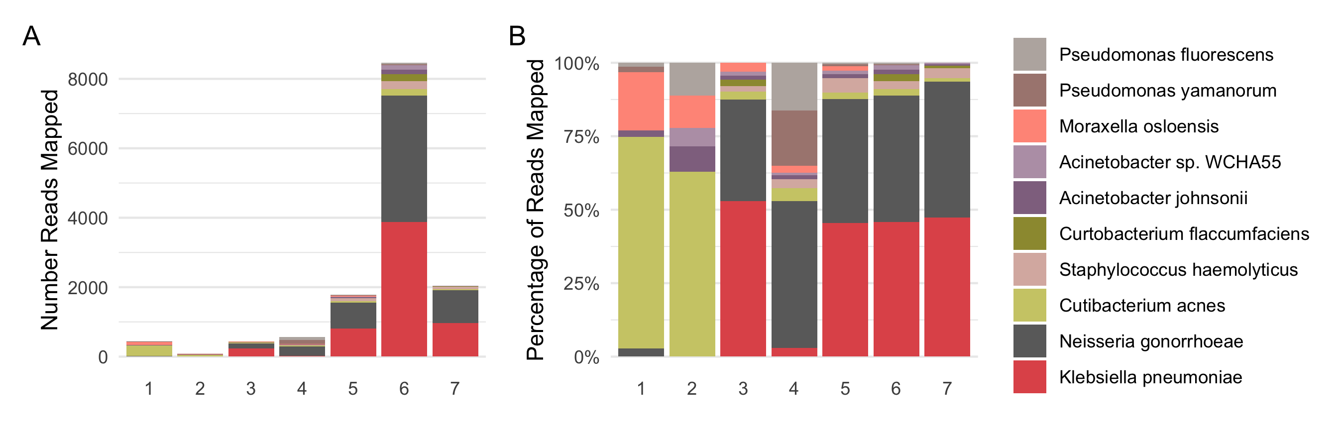 Possible bacterial contaminants at the species level. A shows the absolute number of reads confidently assigned to different bacterial species across different samples, accounting for around 50 percent of all the reads assigned to bacteria, while B represents them as percentage proportions.